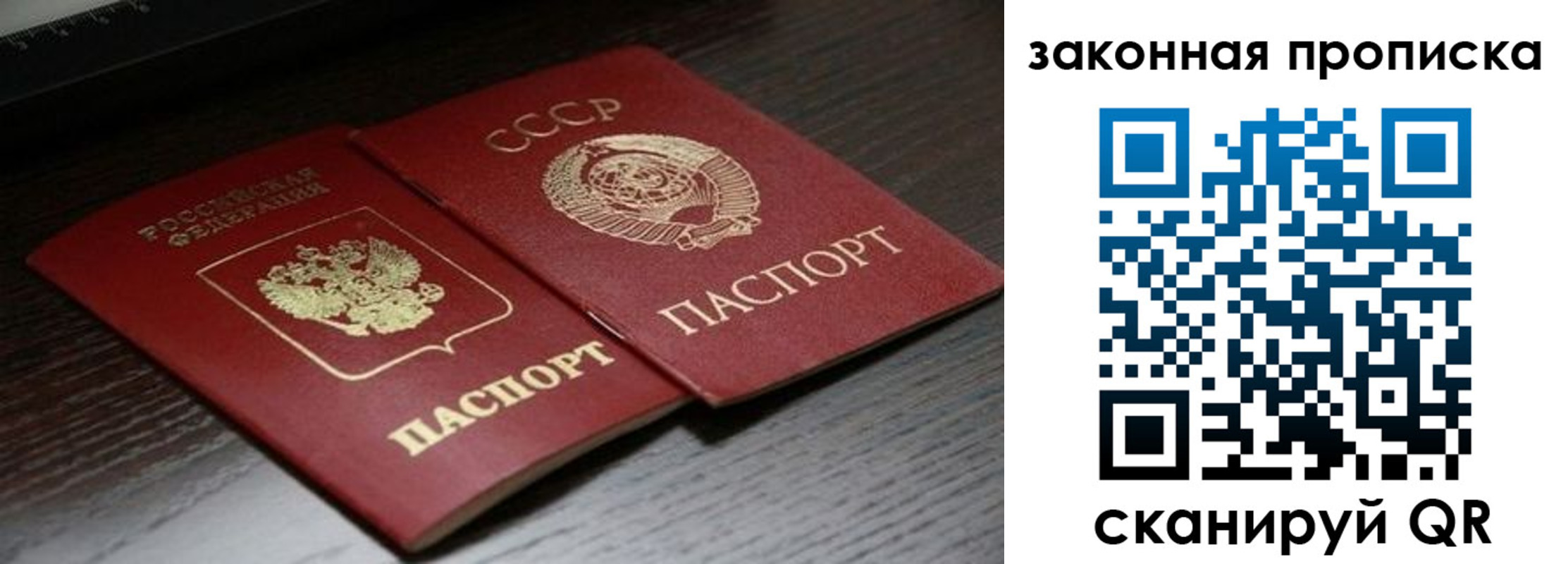 временная регистрация поиск в Королёве